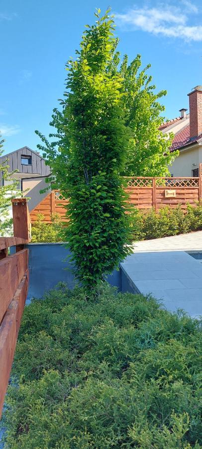 Apartmani Remete ザグレブ エクステリア 写真